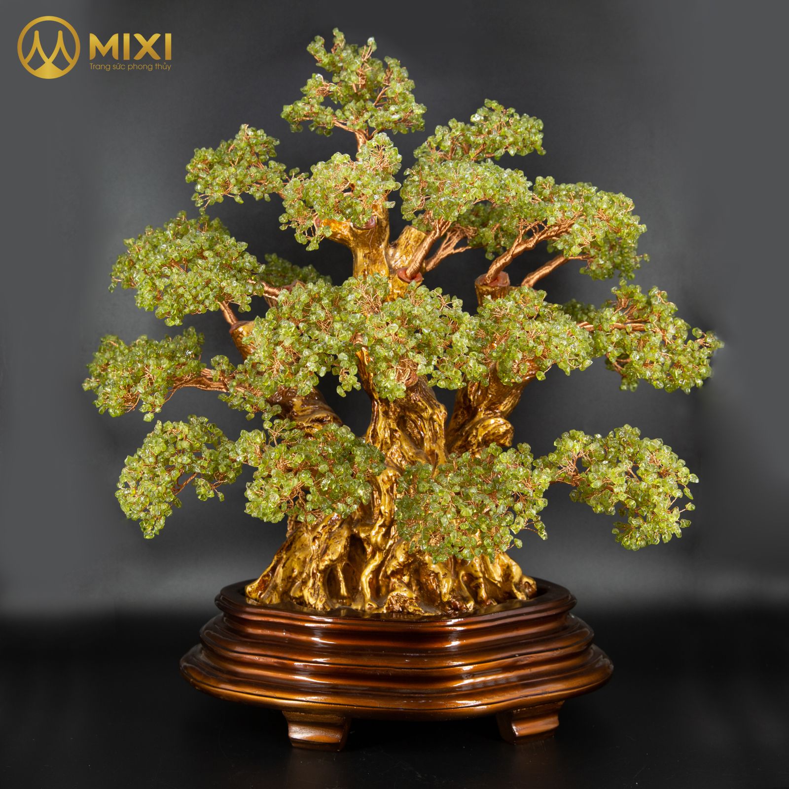 CÂY TÀI LỘC PERIDOT_ĐẠI